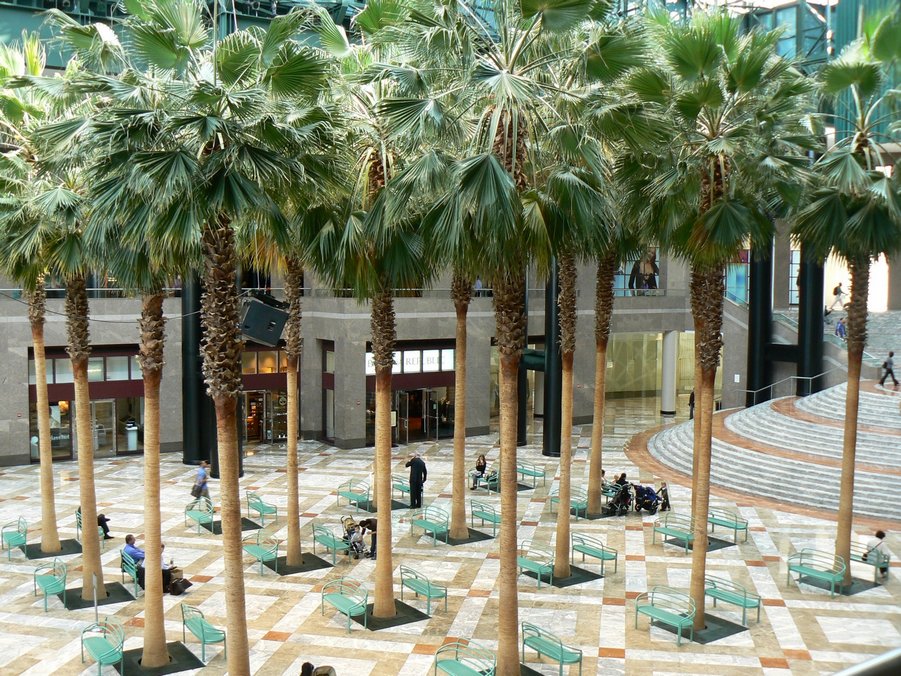 Winter Garden: Winter Garden 006